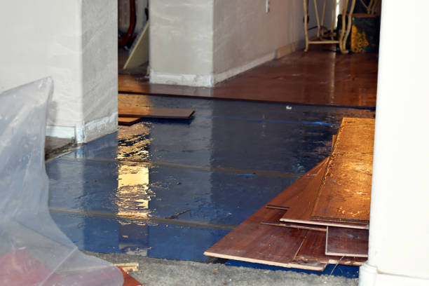 Professional Water Damage Restoration technician working in Monroe, ME